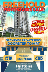 The Line @ Tanjong Rhu (D15), Condominium #446791881
